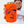 Load image into Gallery viewer, Coozie