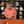 Load image into Gallery viewer, Would you like the Head Ball Coach Steve Spurrier to wish your diehard Gator fan a Happy Gator Birthday, give you a personalized pep talk or Congratulation you best friend on their big wedding day? You've found the right place to make it happen! It is a Cameo with an Orange and Blue twist. With purchase you will receive an email to further inform you on this process or email merch@spurriers.com for questions/comments/concerns.