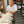 Load image into Gallery viewer, This is the opportunity you have been waiting on. The HBC, Steve Spurrier, will autograph and custom personalize your message on any of our merchandize items. Do you want to gift a personalized Visor, book, hat or even a shirt, it's simple as 1,2,3. This special is one of a kind! Pair this $60 offer to any item from shop.spurriers.com and have it personalized specifically to your liking! Classic HBC quippy quote, Happy Birthday or Congratulations.