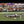 Load and play video in Gallery viewer, UF vs. FSU 97' ~ Clearout for McGriff