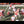 Load and play video in Gallery viewer, UF vs. GA 95' ~ Safety lookoff for a "seamless" touchdown!
